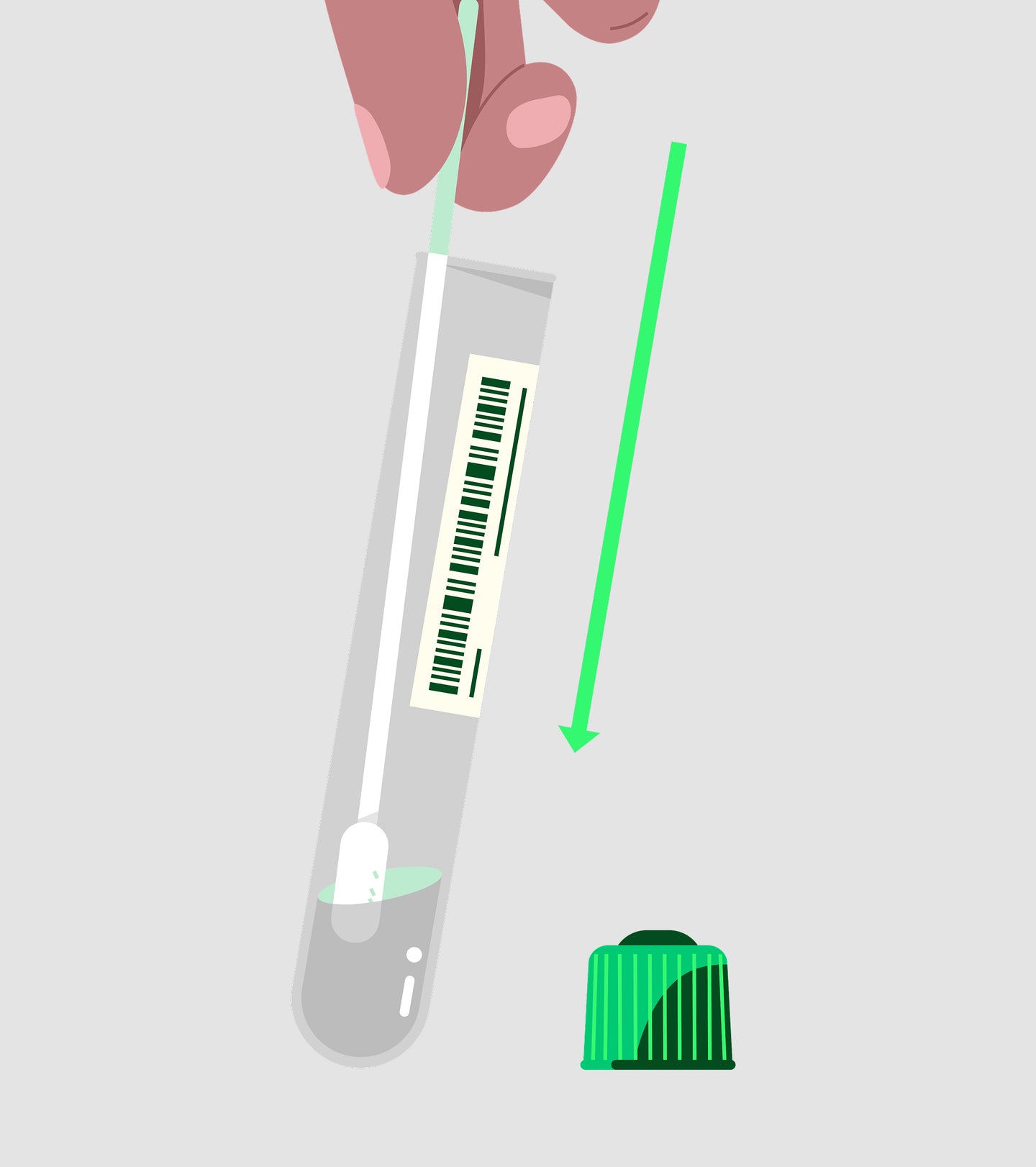 Image of swab from Quest self-test kit