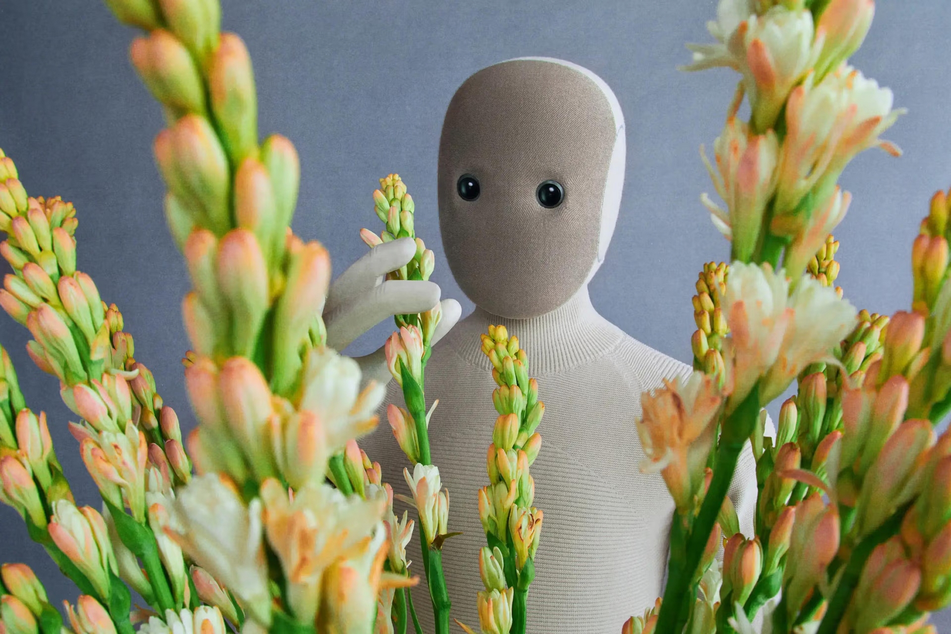 How AI Brands Are Humanizing Themselves