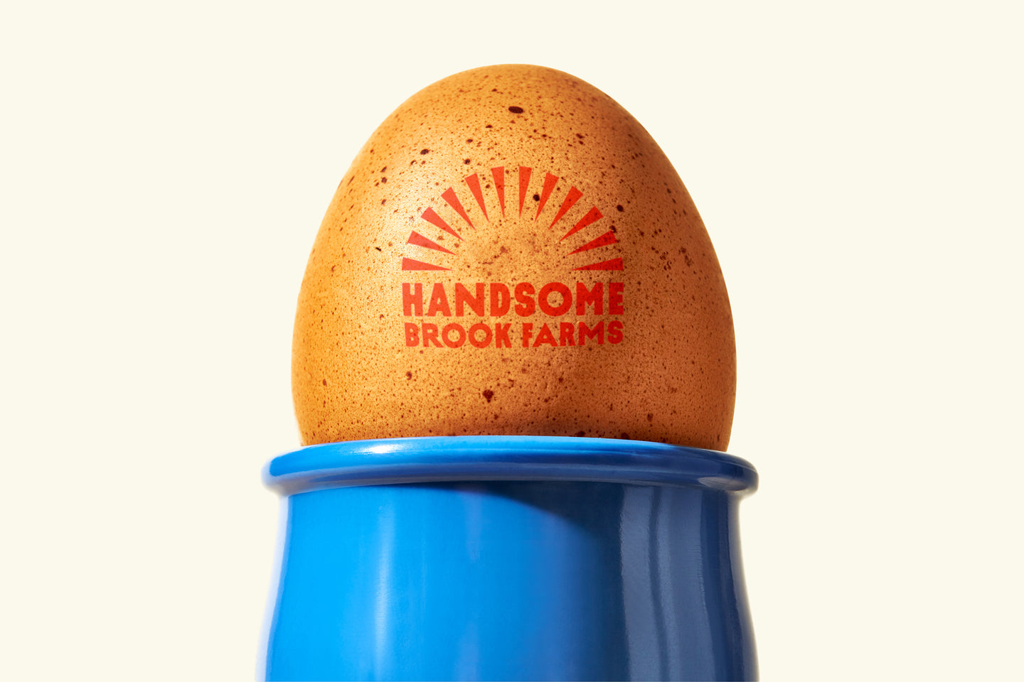 Image of Egg with Handsome Brook Farms logo