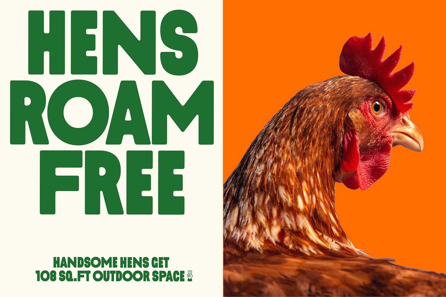 Marketing image from Handsome Brook Farms with "Hens Roam Free" and a chicken