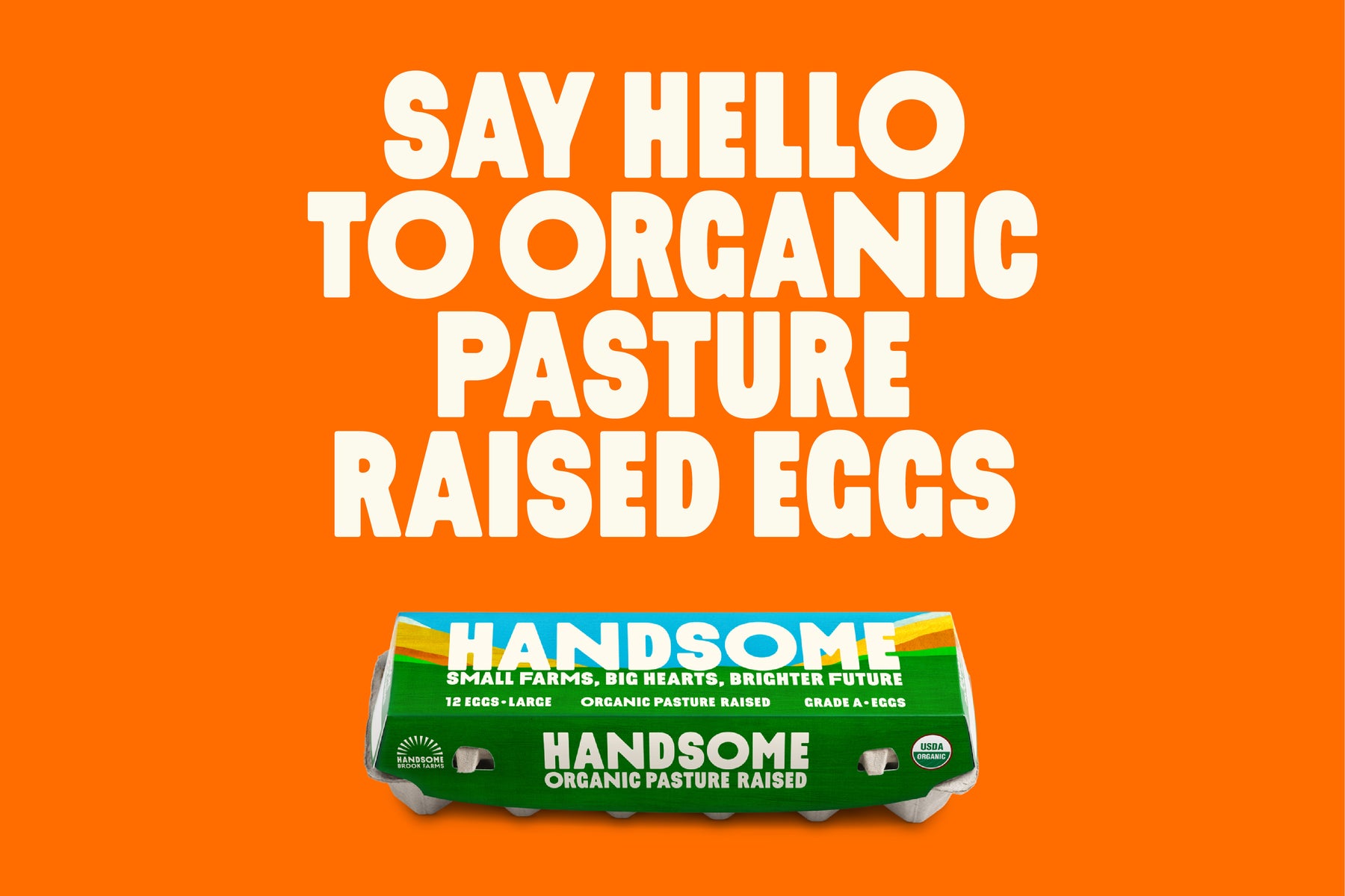 Image of egg box and "Say hello to organic pasture raised eggs"